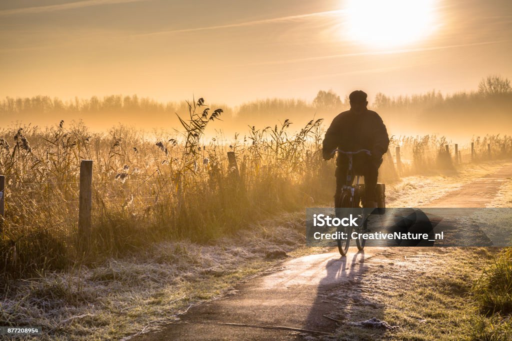 Silhouette of cyclist landscape Silhouette of senior cyclist through hazy early morning rural landscape at sunrise Nature Stock Photo
