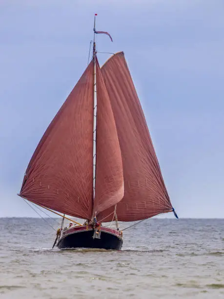 Traditional Old dutch flatbottom sailing boat on the wadden sea