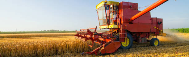 istock Combine harvester harvesting wheat 877224362