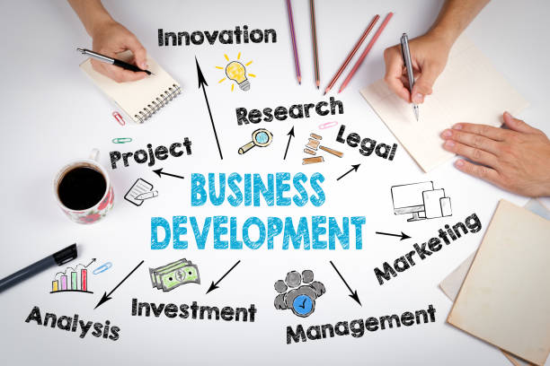 istock Business Development Concept. Chart with keywords and icons 877228484