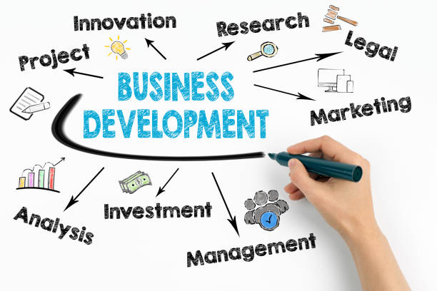 istock Business Development Concept. Chart with keywords and icons on white background 877228510