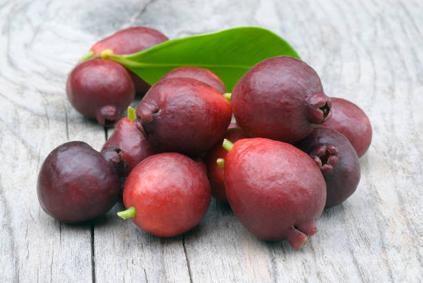 istock Fruit of Cattley guava or Peruvian guava (Psidium littorale susp. longipes). 877230720
