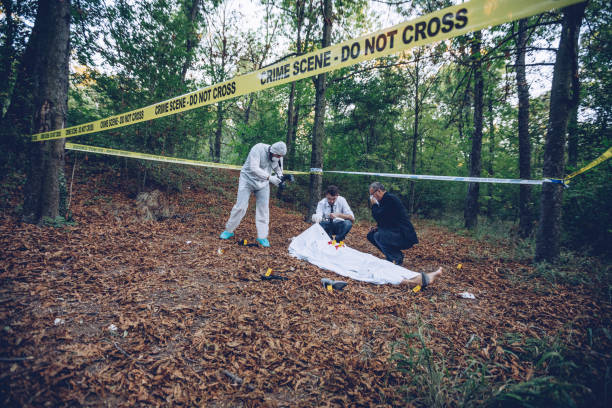 istock Detectives working on a murder in the wood 877231012