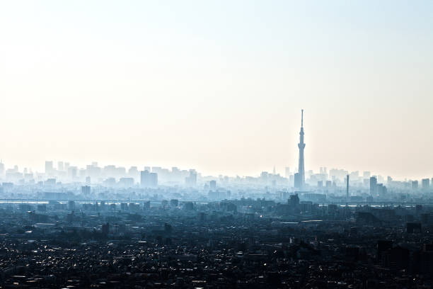 高層ビルと東京スカイツリー - city office ストックフォトと画像