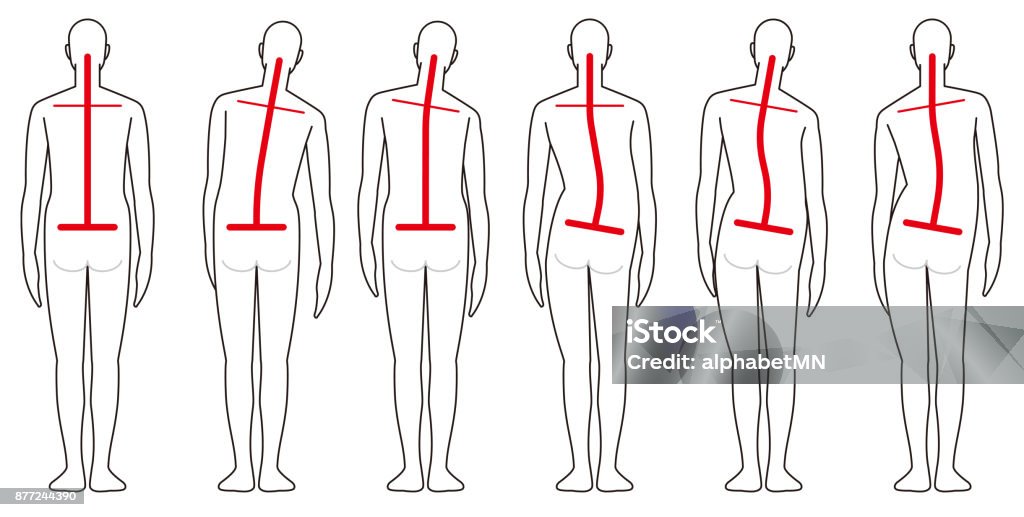 Forme dos humain - clipart vectoriel de Activité physique libre de droits