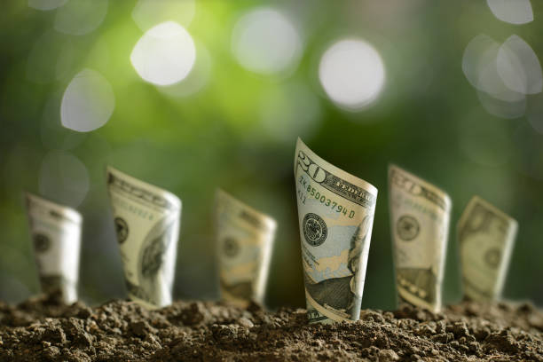 istock Image of rolled bank notes on soil for business, saving, growth, economic concept 877247048