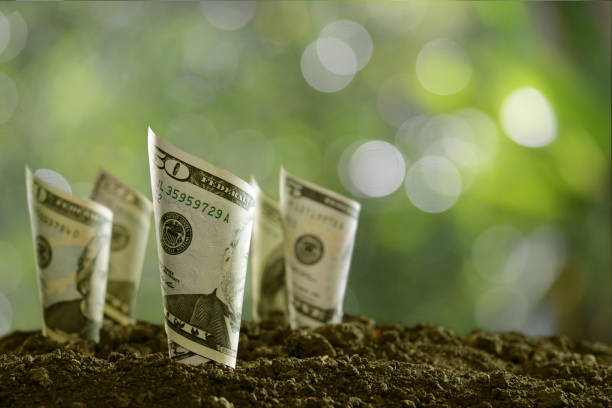 istock Image of rolled bank notes on soil for business, saving, growth, economic concept 877247126