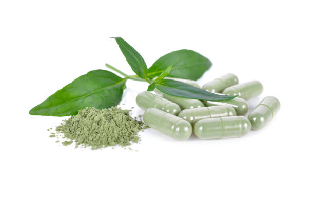 istock fresh kariyat leaves and capsule herb on white background 877247498