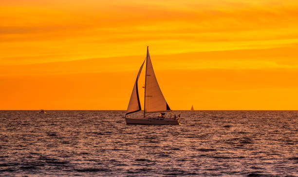 Sailboat in the ocean during sunset stock photo
