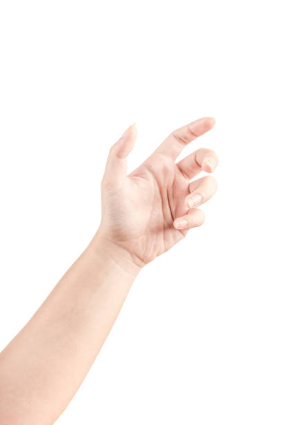 istock Close up Hand and arm  on white  background. 877254524
