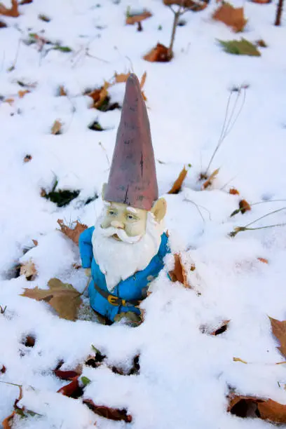 Frozen front yard with forgotten decoration and dead leaves