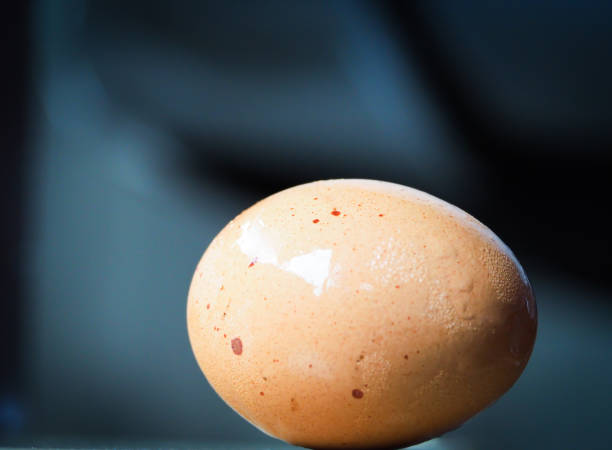 istock Focus the water drops on eggs with blur background. 877261266