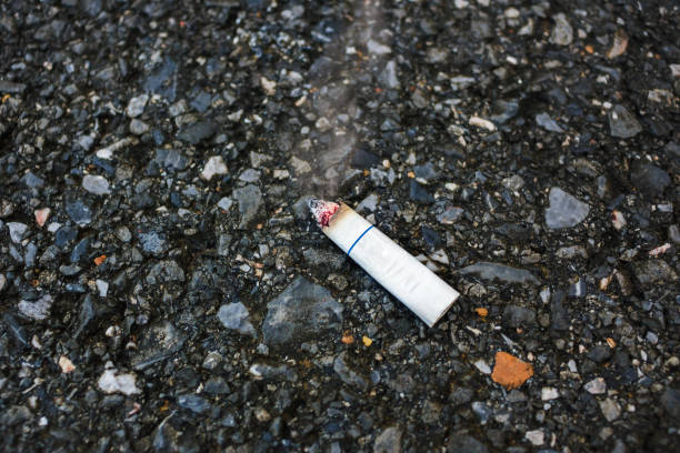 istock The cigarette stub were thrown onto the road. 877270896