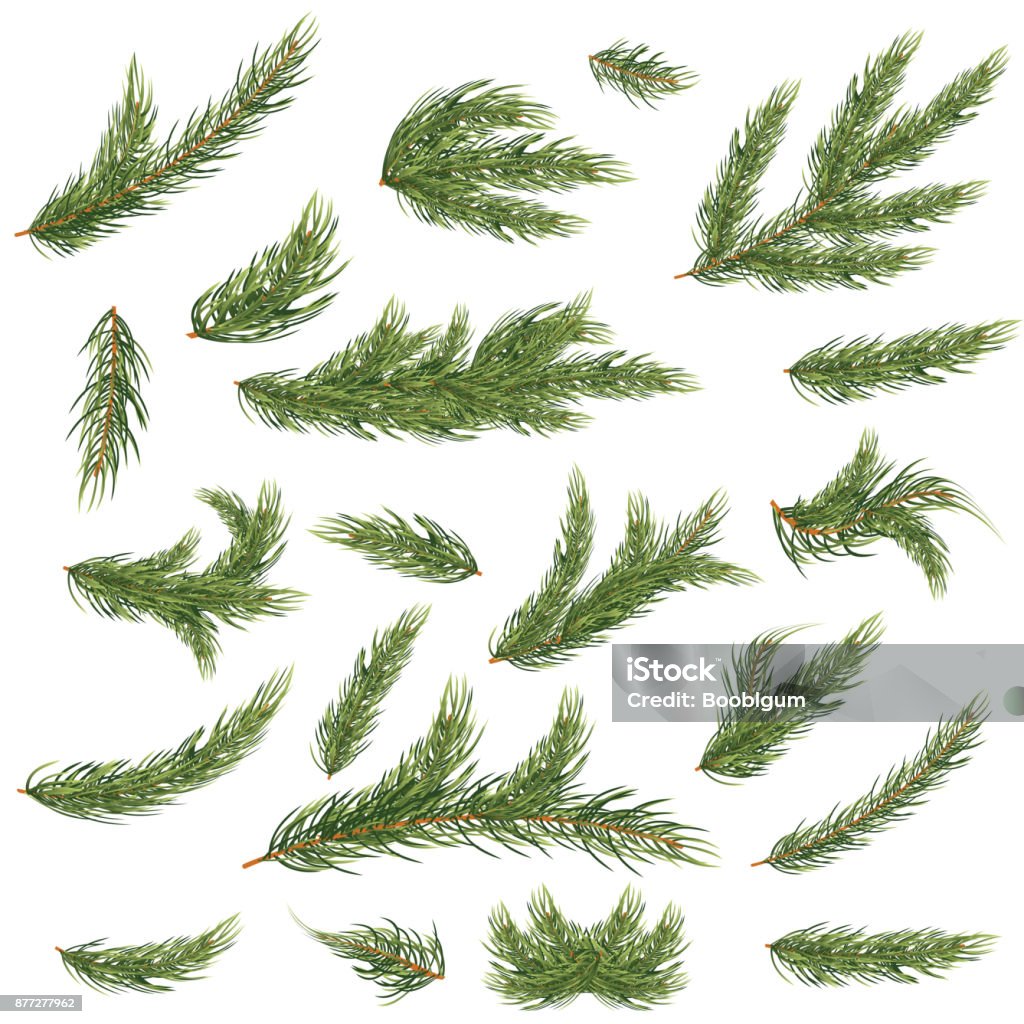Conjunto de ramas de abeto. Árbol de Navidad. - arte vectorial de Rama - Parte de planta libre de derechos