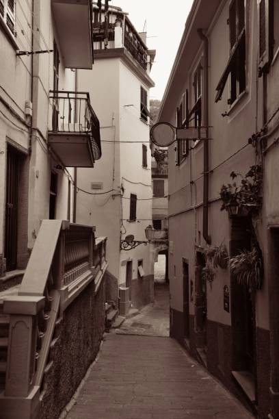 istock Riomaggiore alley 877281548