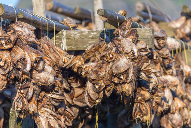 istock Lofoten Summer Landscape 877289392