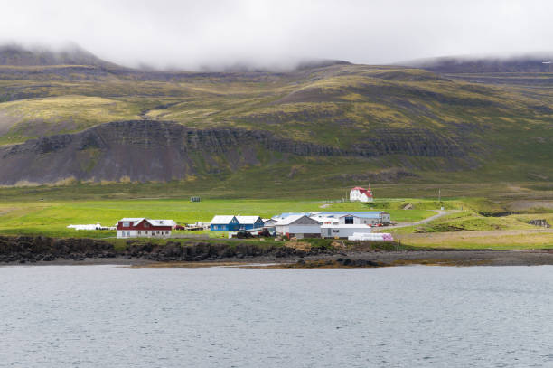 Beautiful landscape in summer ,Iceland.
