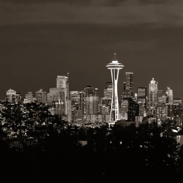 istock Seattle city skyline night 877300988