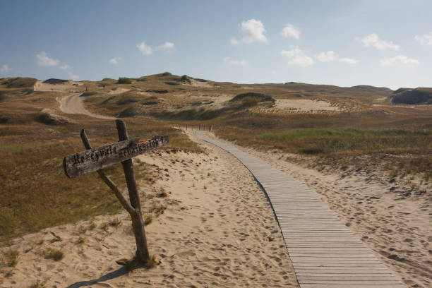 istock Dunes of Curonian Spit, Lithuania 877301490