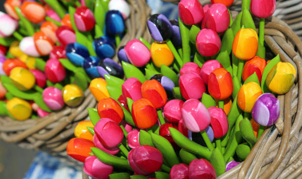 istock colorful tulips for sale 877304338