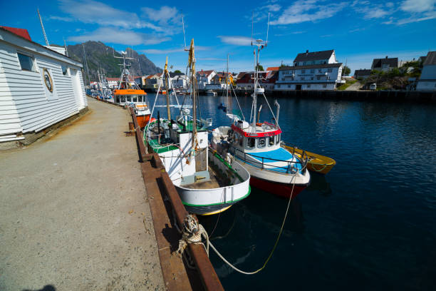 istock Lofoten Summer Landscape 877309568
