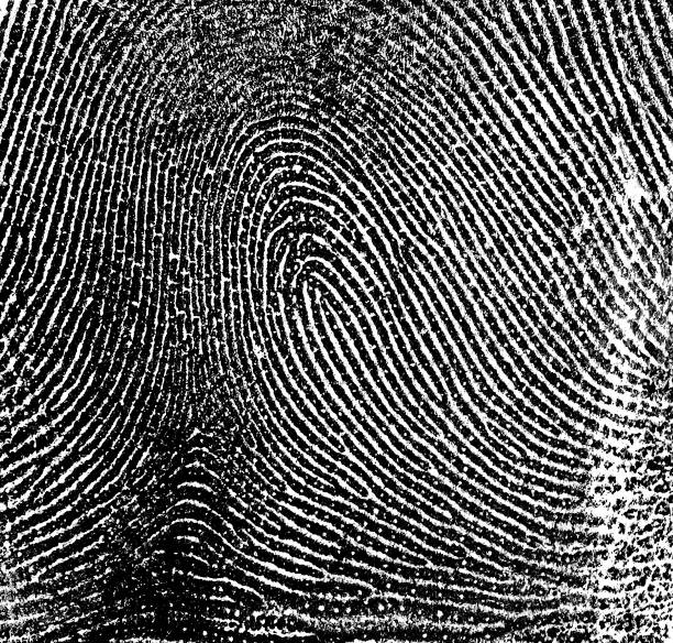istock Fingerprint on white paper 877312470