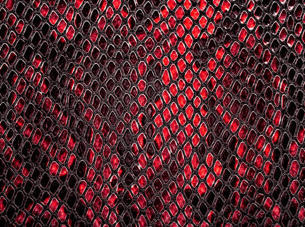istock Snake skin, can use as background 877312634