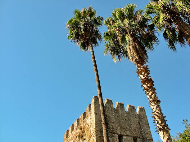 istock Ancient fortress tower and tall palm trees 877312896