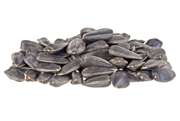 istock Sunflower seeds isolated on white background, close up 877317110