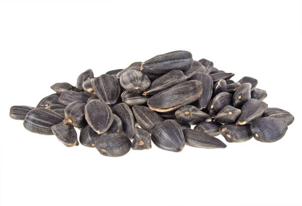 istock Sunflower seeds isolated on white background, close up 877317124