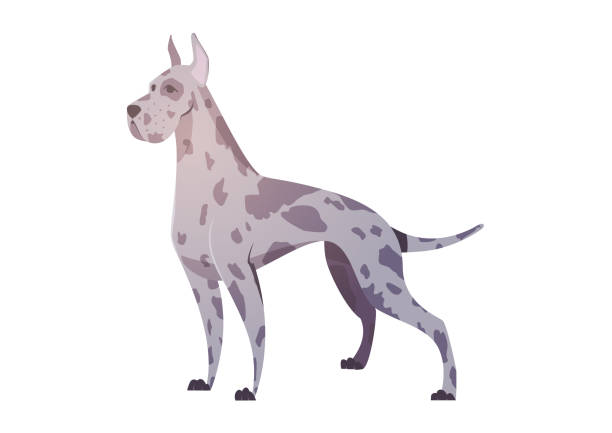 German dog in the style of cartoon. German dog in the style of cartoon. The illustration can be used in a children's book. great dane stock illustrations