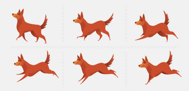 ilustrações de stock, clip art, desenhos animados e ícones de red dog symbol of the year 2018. - standard poodle