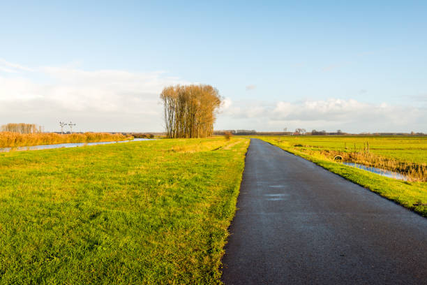 route de campagne asphalte mouillé dans un paysage de polder hollandais - 5946 photos et images de collection