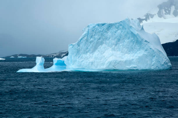 istock Iceberg with island in background 877337328