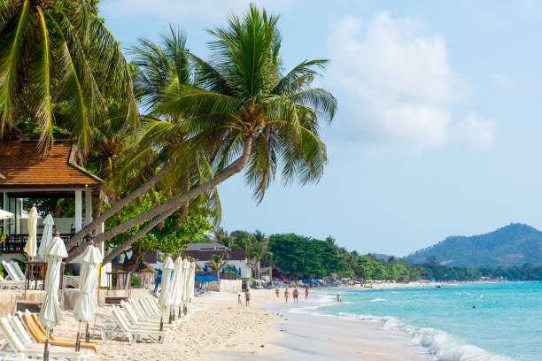 istock Tropical resort panorama in Koh Samui, Thailand 877340342