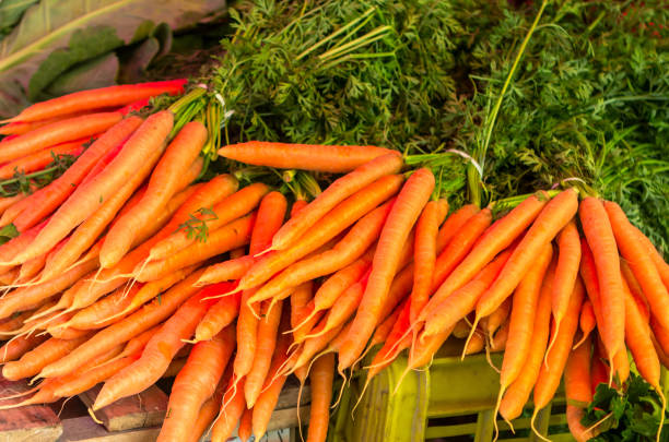 istock Raw carrots from the garden 877341472