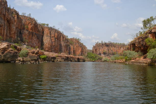 istock KATHERINE GORGE & NITMILUK NATIONAL PARK 877344214