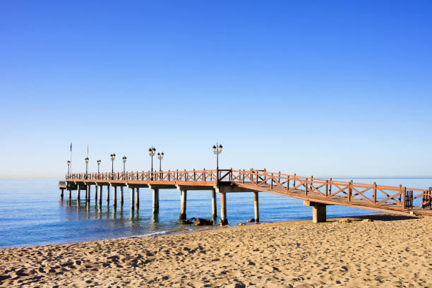 istock Beach Sea and Pier in Marbella 877347766