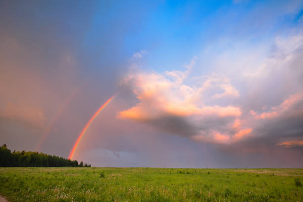istock Rainbow in summer in the field 877348760