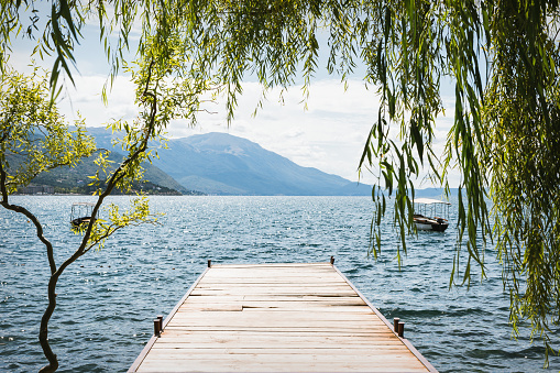 Old wooden jetty, under the willow tree. Ohrid lake, Macedonia, Europe