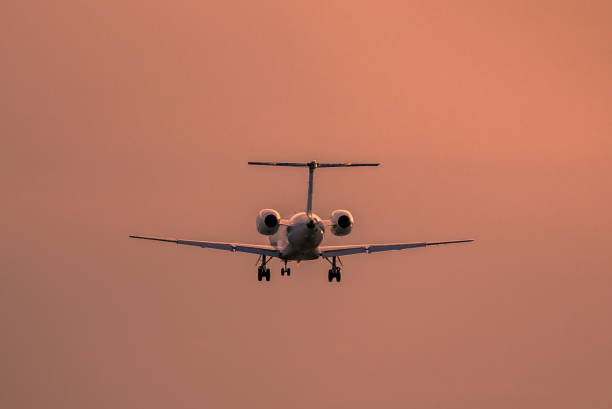 istock Airplane landing at sunset 877355640