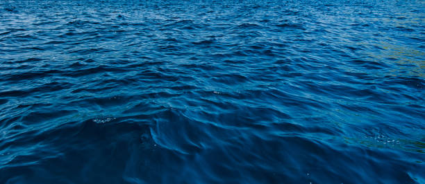 istock Blue dark water surface at open sea, Dark and deep ocean 877355654