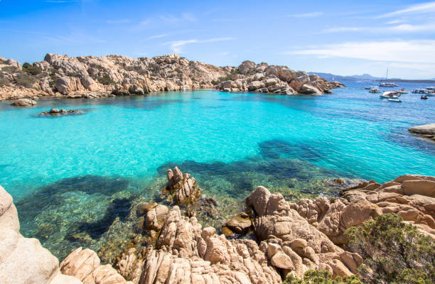 istock Cala Coticcio Beach, Sardinia, Italy 877355946