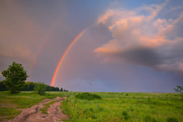istock Road to the field. Rainbow in summer. 877356462