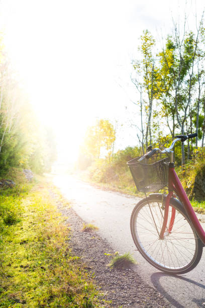 Red retro bike with basket on a cycle path with sunlight