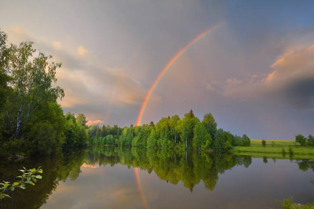 istock Rainbow over calm water of a forest lake 877359538