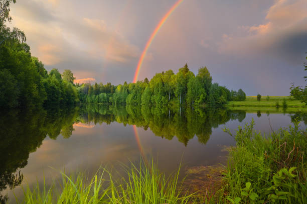 istock Rainbow over calm water of a forest lake 877359540
