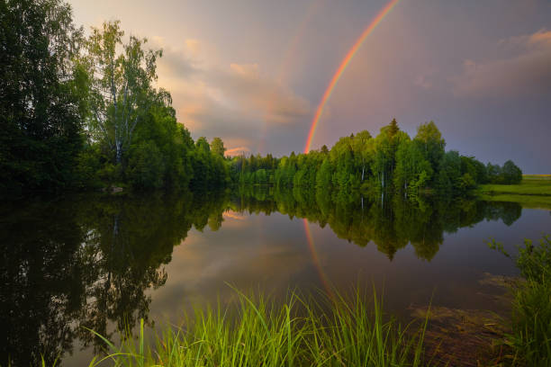 istock Rainbow over calm water of a forest lake 877359600