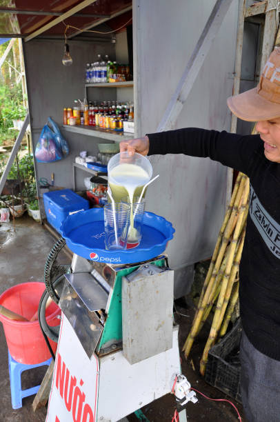 uomo vietnamita che fa succo di canna dalla canna da zucchero per i turisti - 16340 foto e immagini stock