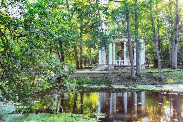 istock Gazebo in the park 877360940